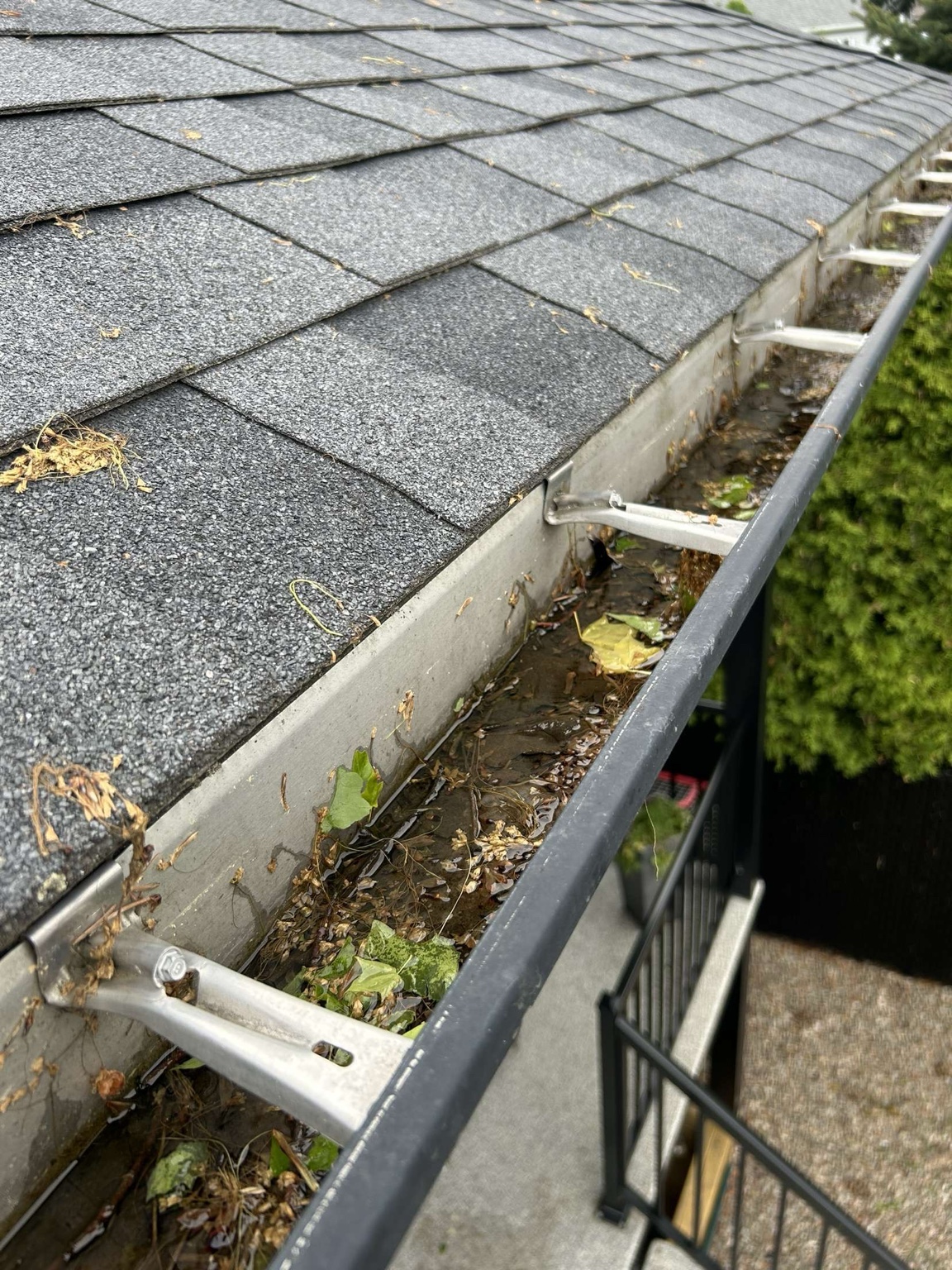 Gouttière avant le nettoyage